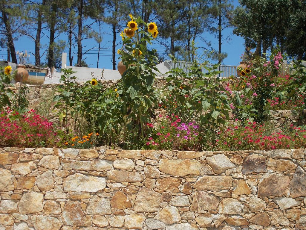 Villa Casa Do Cabril à Pedrógão Pequeno Extérieur photo